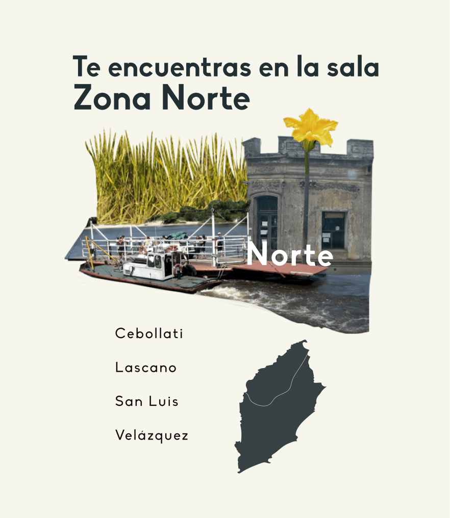 Zona Norte